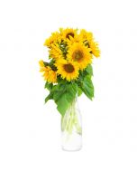 Ray of Hope Sunflower Bouquet