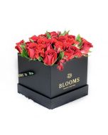 Red Radiance Box Rose Set