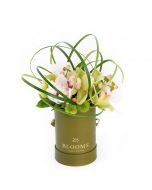 “Berry Special” Orchid Arrangement