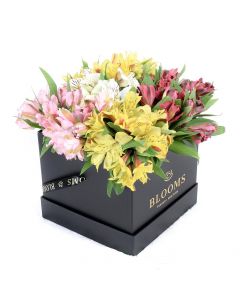 Spring Bloom Peruvian Lily Hat Box