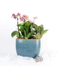 Anthurium & Orchid Arrangement