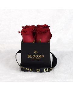 Valentine's Day 4 Red Rose Gift Box