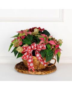 Christmas Cheer Floral Centerpiece