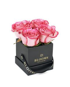 Mother’s Day Demure Pink Rose Gift