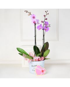 Valentine’s Day Orchids Gift Basket