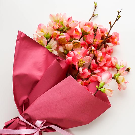 Congratulations Gift Delivery – Chicago Floral Designs