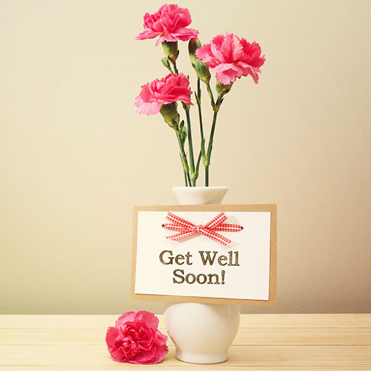 Get Well Soon Gift Delivery – Chicago Floral Designs