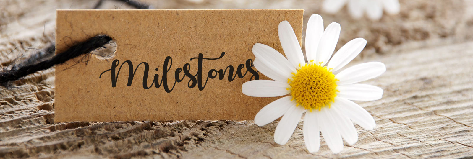 Milestone Gift Delivery – Chicago Floral Designs
